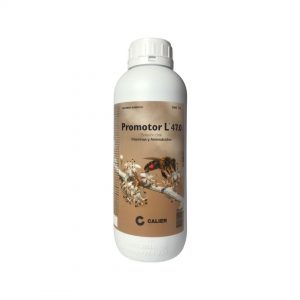 producto1
